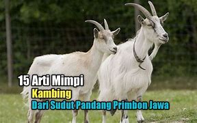 Mimpi Kambing Beranak Dua